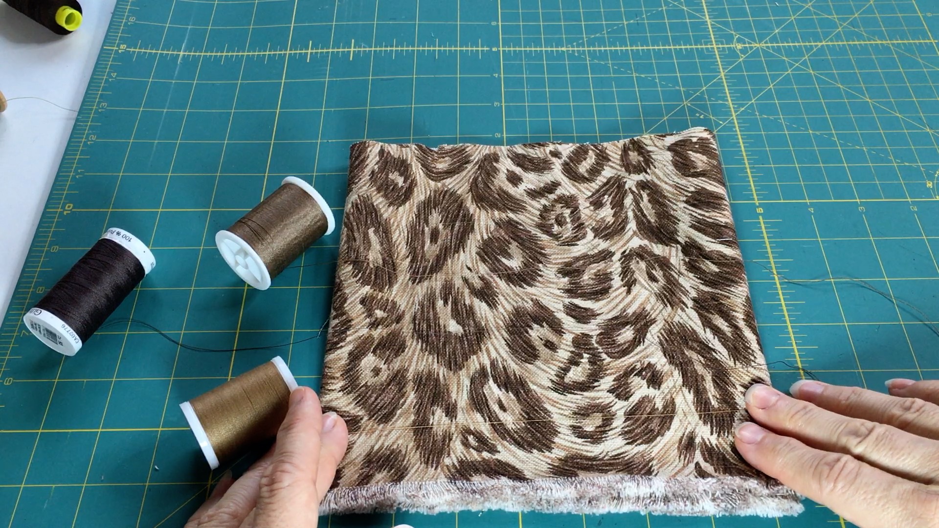 Thread matching Cheetah